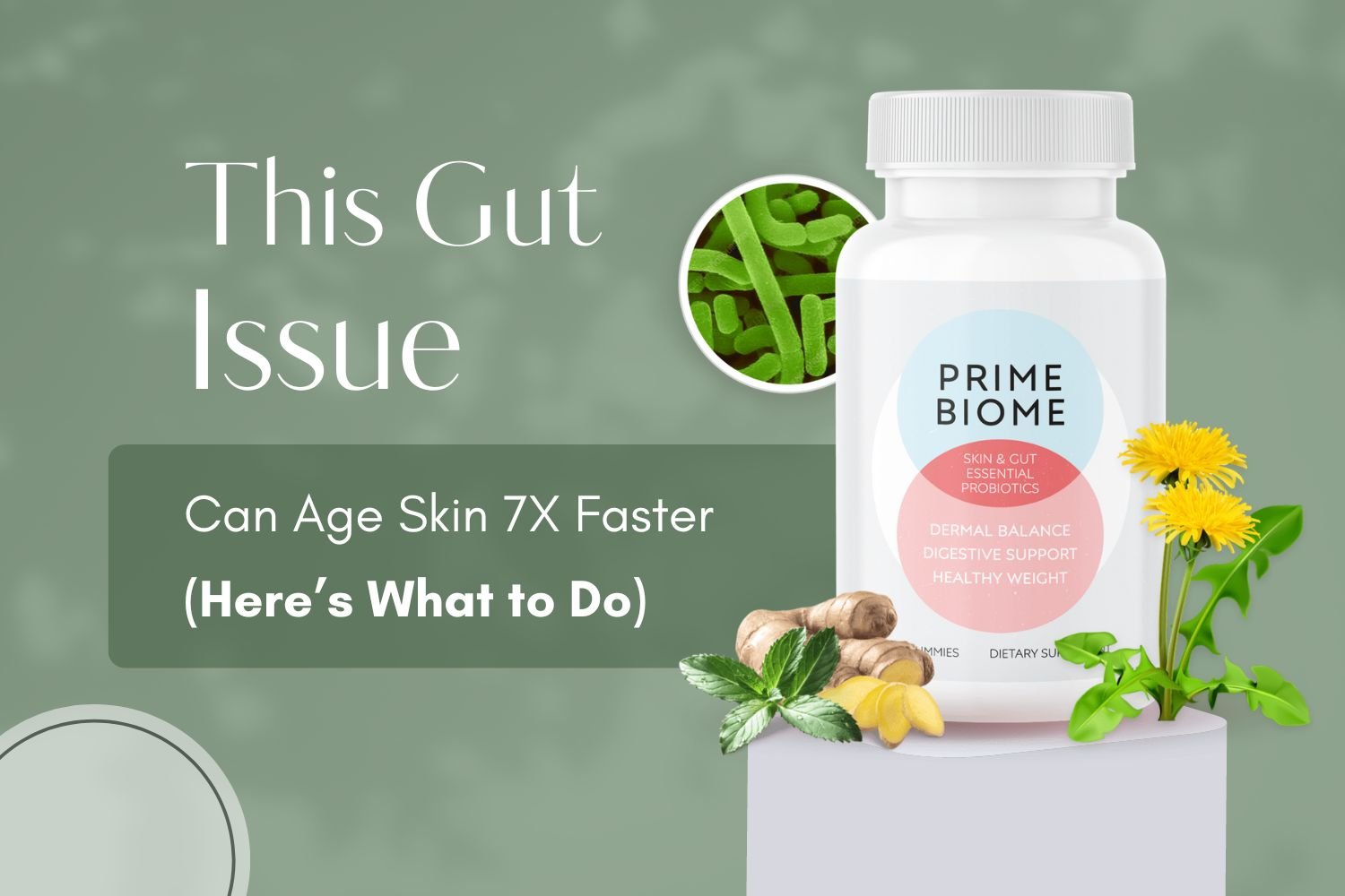 PrimeBiome Special Offer